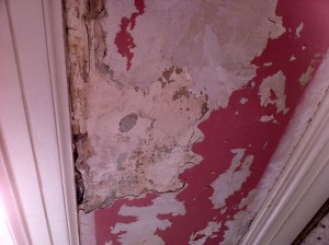 wallpaper-damage-project-kennedy-painting-st-louis-3-before